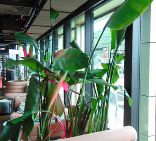 Jil Rooftop Drink&Dine