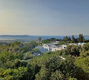 Zia