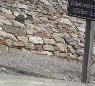 Kurvenschilder und Höhe wo man ist