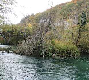 Im Nationalparks Plitvicka Jezera (Plitvicer Seen)