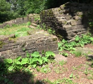 Ruine Stephanskloster