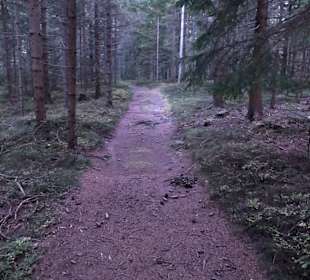 Wandern St. Jakob im Walde