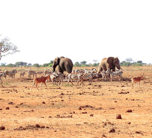 An einer Wasserstelle