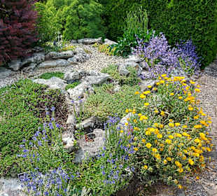 Umgebung + Botanischer Garten Baltschik + Schloss