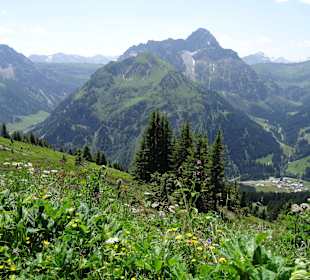 Walmendinger Horn mit Blick auf Widderstein und Baad