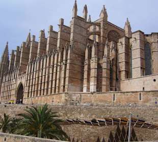 In Palma ca. 60 min mit dem Auto entfernt