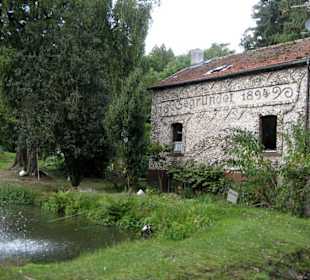 Forellengut