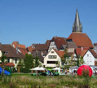 Blick über den Stadtweiher