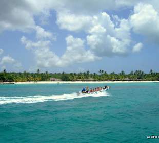 Saona