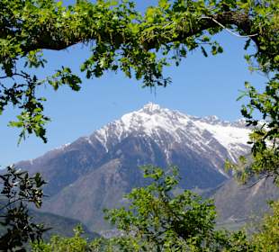 Von der Stadt Meran aus gesehen