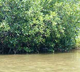 Khao Sam Roi Yot National Park