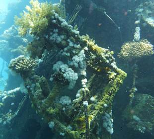 Wrack "Hamada" Abu Ghusun