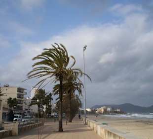 Strand Cala Millor März 2011