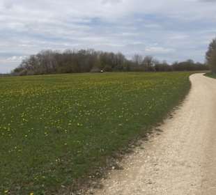Vulkankrater-Rundweg Apfelstetten