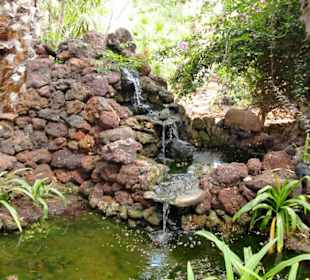 Wasserlauf im Oasis Park