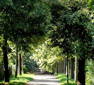 Rundgang über die Stadtwall-Promenade