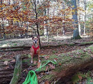 Wandern Zwenzow