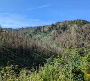 Klippen Runde Okertal Bild 4