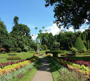 Botanischer Garten , 