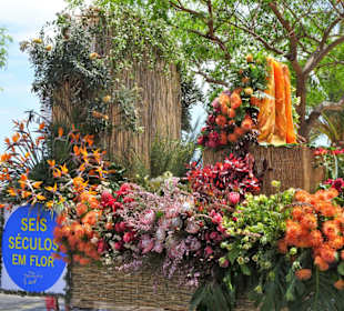 Umzugswagen des Blumenfestivals