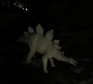 Mondo Verde Halloween