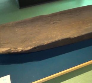 Meeresmuseum Stralsund