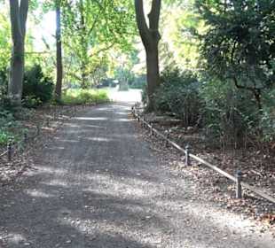 Schlosspark Bellevue