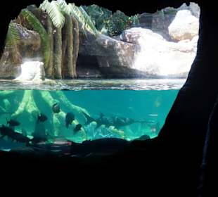 Schöner Zoo in Fuengirola