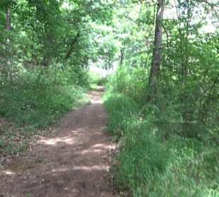 Wanderweg - Alter Steinbruch Pfaffenberg Runde