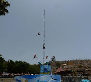 Aqualand/Turmspringer