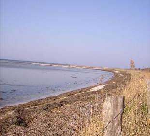 Naturschutzgebiet Geltinger Birk
