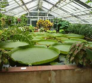 Botanischer Garten