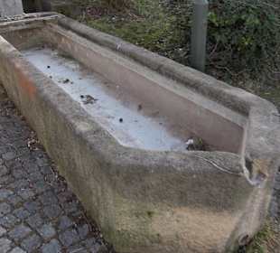 Brunnen am Backhaus Gniebel