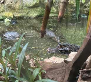 Tiergarten Straubing