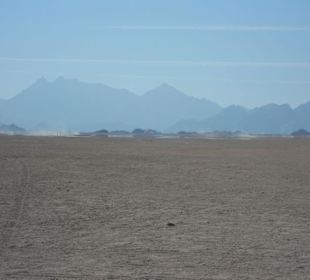 Ausflug in die Wüste
