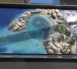 Auf der Brücke nach Südamerike