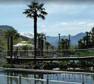 Schlosss Trauttmansdorff  im Frühling