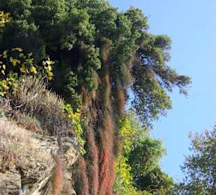 Volos  Pelion Gebirgslandschaft