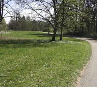 Sport- und Freizeitpark Markwasen