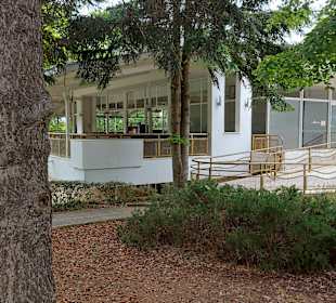 Albena 