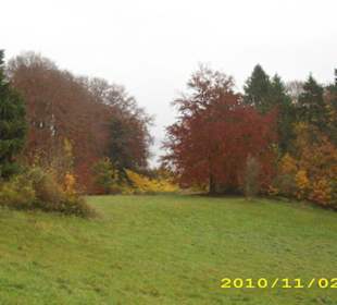 Herbststimmung