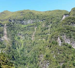 Heerliche Vegetation in den Bergen von Madeira