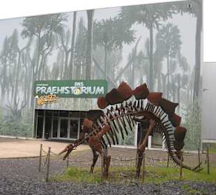 Der Eingang zum "Gondwana"