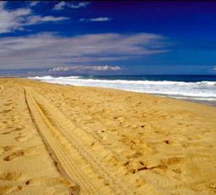 Gran Canaria - Maspalomas