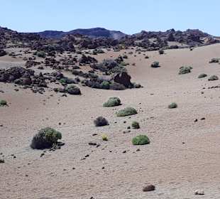 Teide Nationalpark