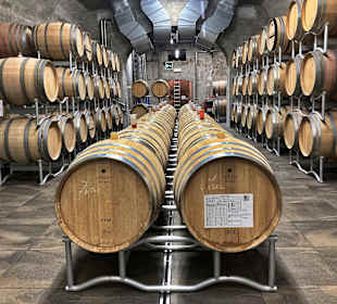 Barrique Fässer . 1 St. kostet ca. 1000 Euro 