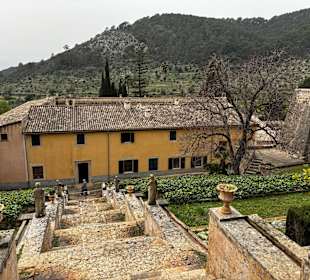 Gartenanlage
