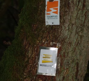 Auf dem Wanderweg zur Burg Eltz