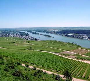 Ausblick in die Rheinebene