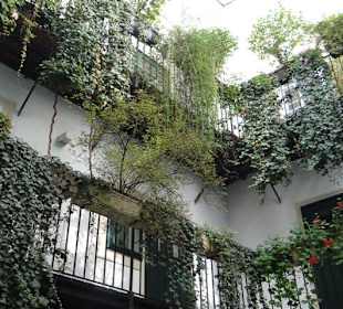 Im Blutgassenviertel